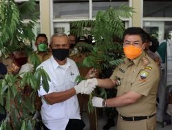 Pemkab Kerja Bareng PT CCA Tanam Seribu Pohon di Desa Pawenang