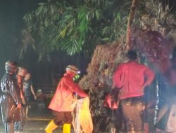 Longsor Tutup Jalan Kabupaten di Sumedang, BPBD Terjunkan Tim Pusdalops