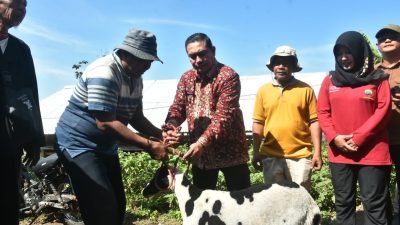 Peternakan Domba Desa Cibeureum Wetan