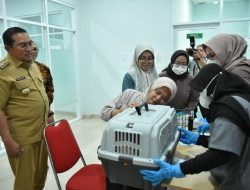 Rumah Sakit Hewan Unpad: Ikon Baru Sumedang, Siap Layani Kesehatan Hewan