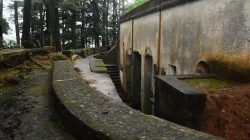 Sekolah Sumedang Didorong Belajar di Tahura